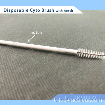 Cyto-brosse jetable avec encoche